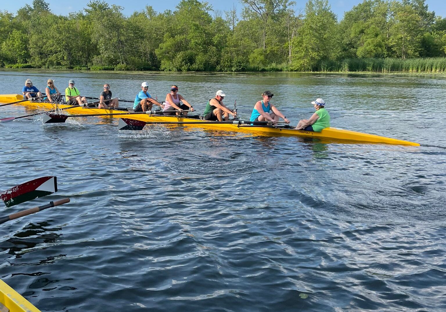 bd79704d-14bf-4dca-a676-b86136daadce